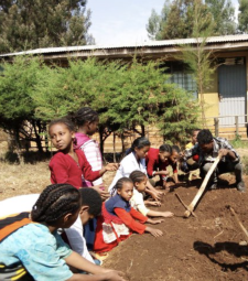 Screenshot 2026-01-04 at 11.52.32